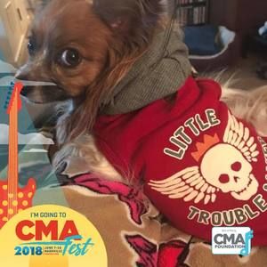 Meet your Posher, Patti